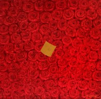 G. N. Qazi, Nukta-1, 24 x 24 inch, Acrylic On Canvas, AC-GNQ-114